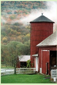 Image of Caretaker Farm silo and barn